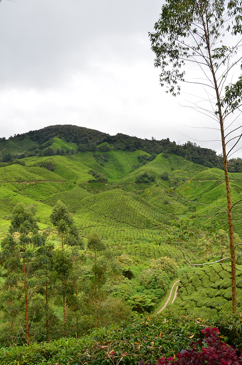 portrait amelie ballif