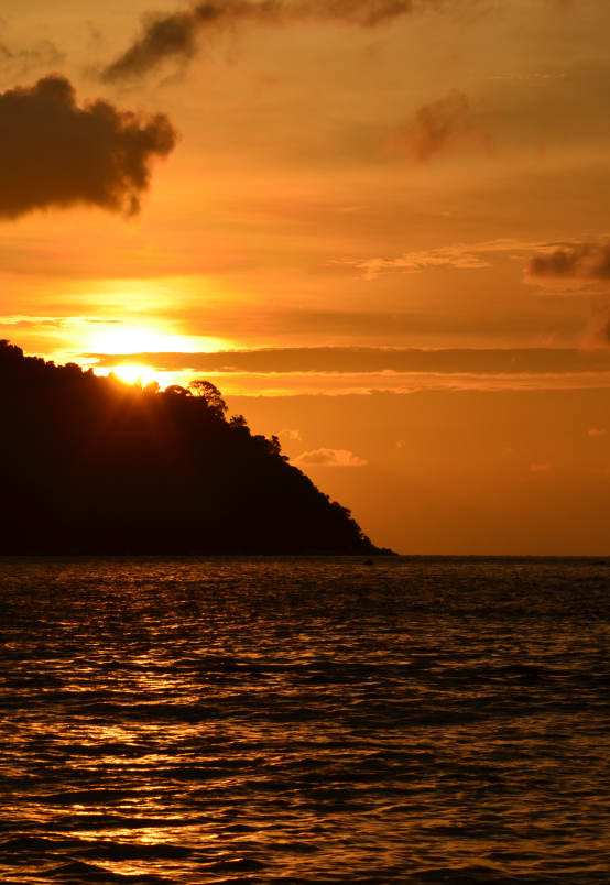 portrait amelie ballif